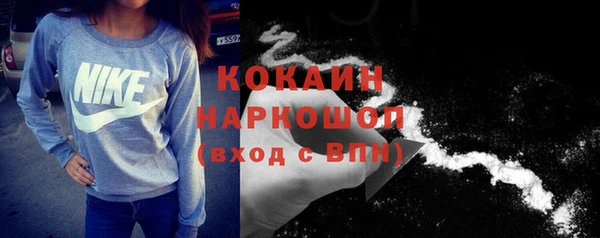 соль ск Алзамай