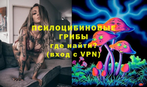 СК Покров