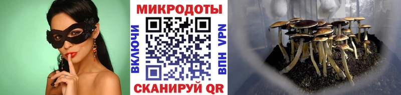 Галлюциногенные грибы GOLDEN TEACHER Покров